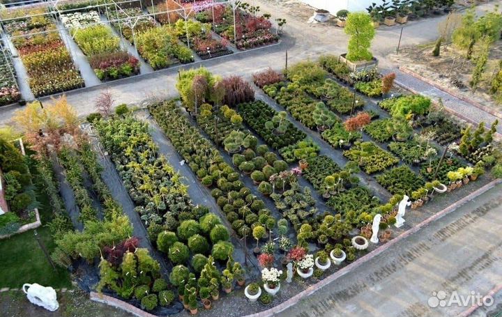 Помощник по хозяйству