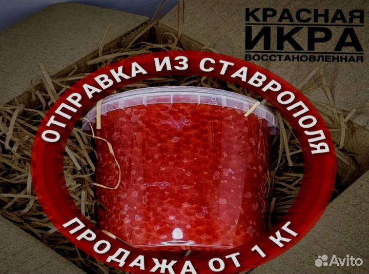 Красная икра оптом