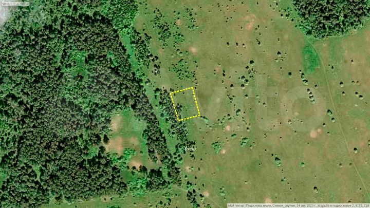 Участок 19,5 сот. (СНТ, ДНП)