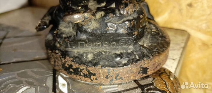 Мальчик с голубями