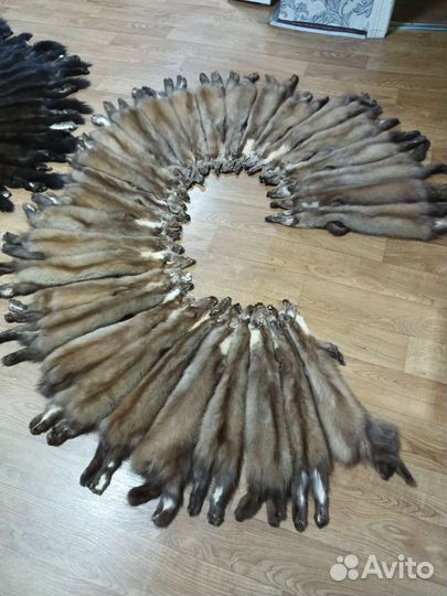 Шкурки куницы