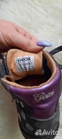 Ботинки Geox