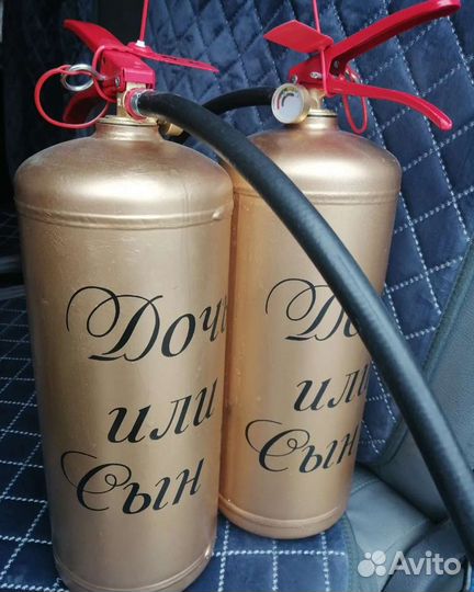 Гендер пати огнетушитель с краской Холи