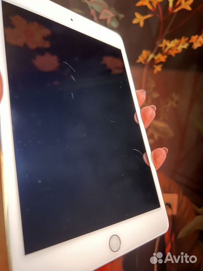 iPad mini 4 64gb cellular
