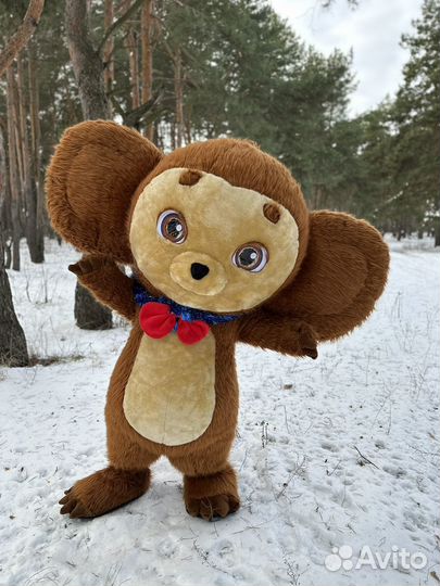 Ростовая кукла поздравление/ Чебурашка / Ушастик