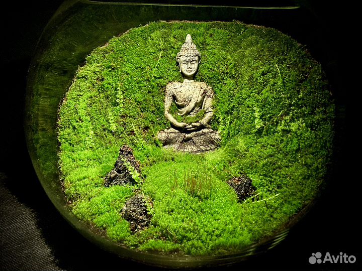 Мохариум с живым мхом и буддой
