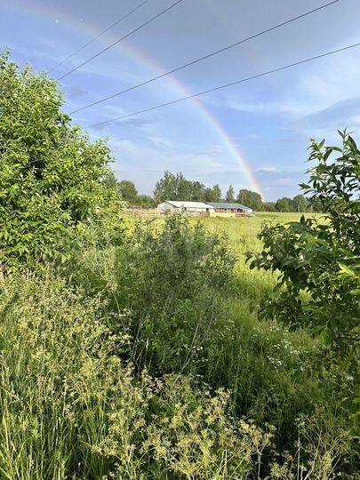 Участок 1,5 га (СНТ, ДНП)