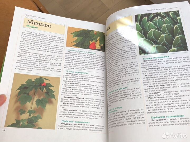 Книга о растениях