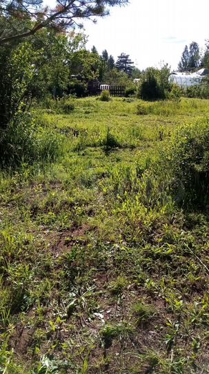 Дача 72 м² на участке 12,6 сот.