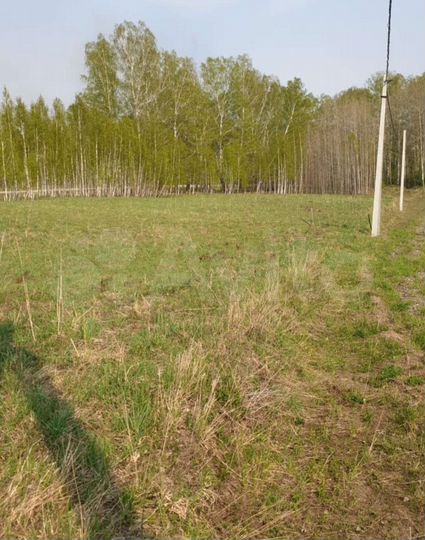 Участок 8 сот. (СНТ, ДНП)