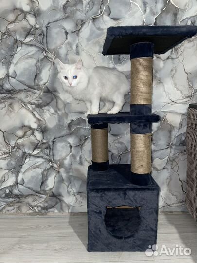 Домик для кошки с когтеточкой