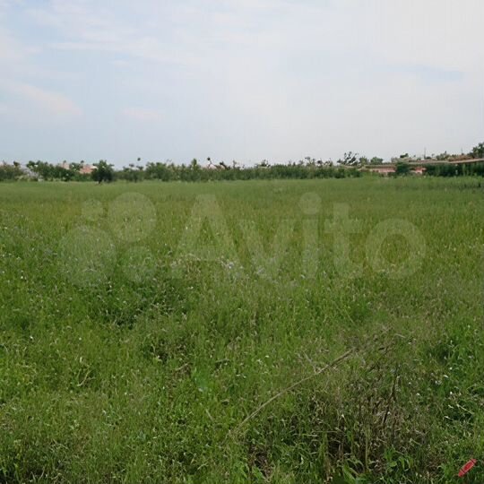 Участок 13 сот. (СНТ, ДНП)