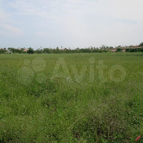 Участок 13 сот. (СНТ, ДНП)