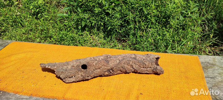 Кора пробкового дуба