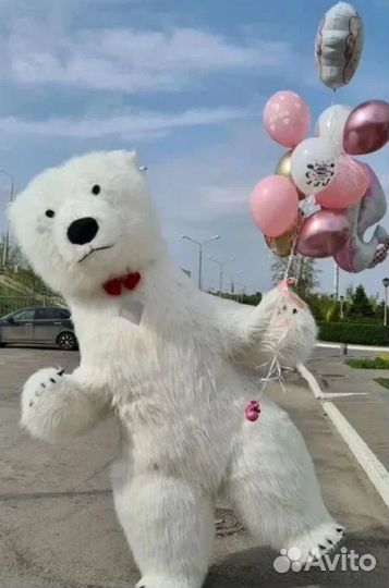 Поздравление от белого мишки