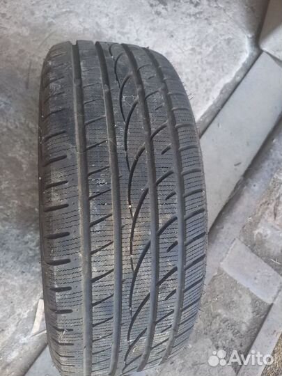 Cordiant Polar SL 4/55 R14