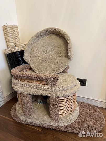 Когтеточка комплекс 