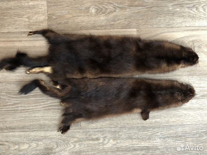 Шкурка животного