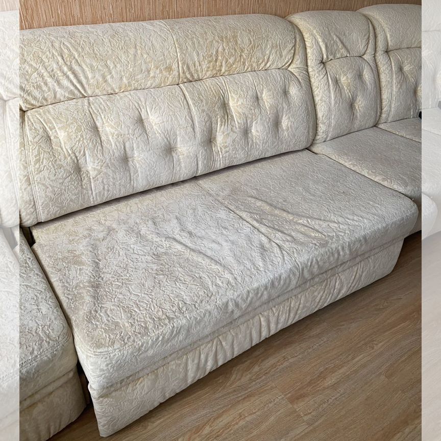 Мас сорғыштар