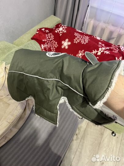 Зимняя попона для собак