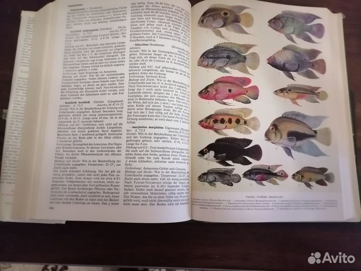 Книга по аквариумистике на немецком языке