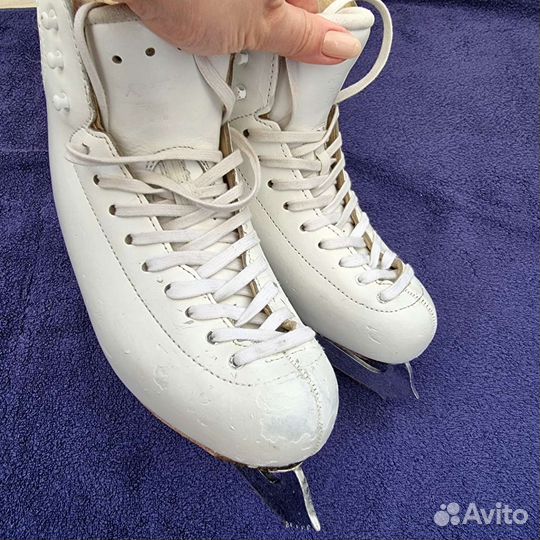 Фигурные коньки risport RF3 pro, 22.5