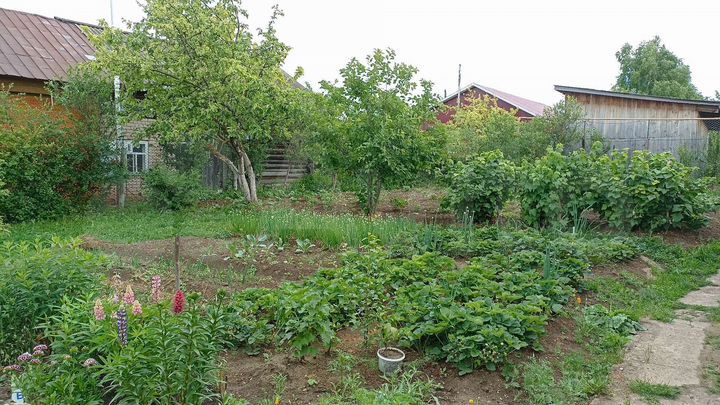 Дом 25,6 м² на участке 6,6 сот.