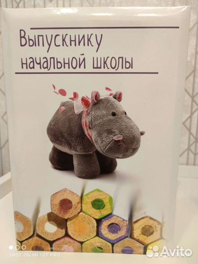 Папка для выпускников