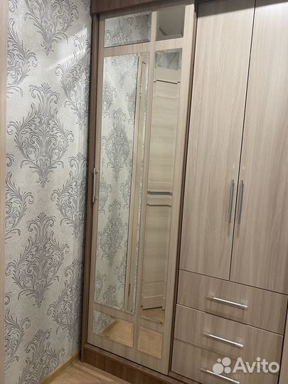 Дверь с зеркалом от шкафа «Маэстро»