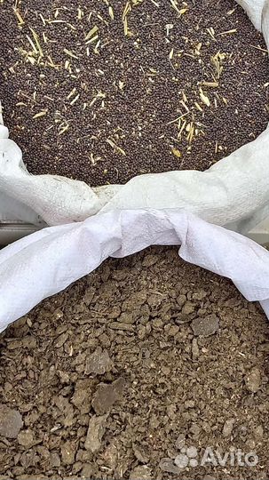 Рапс,жмых подсолнечника