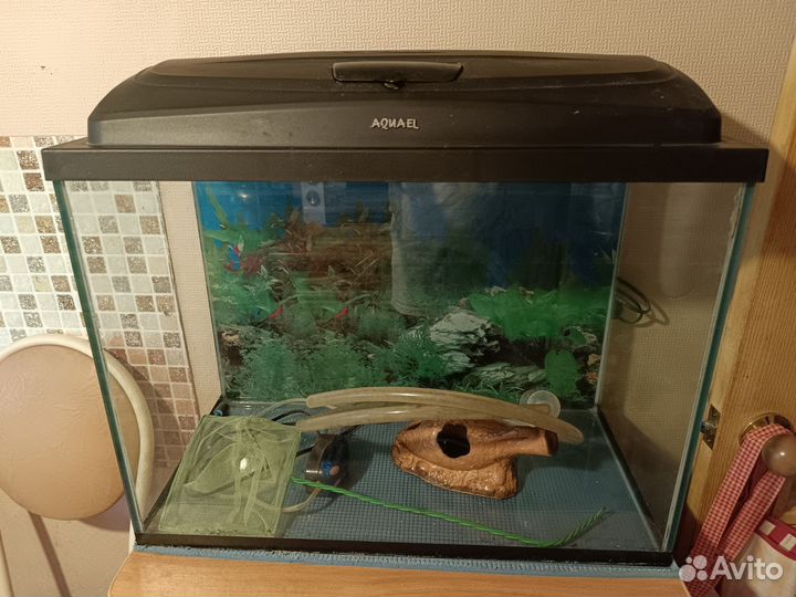 Аквариум