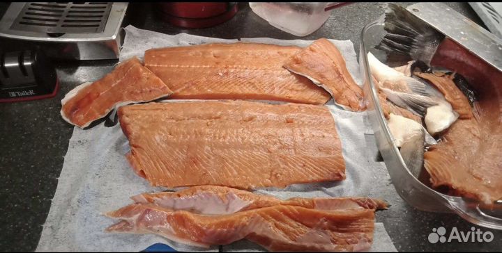 Кижуч (дикий лосось)