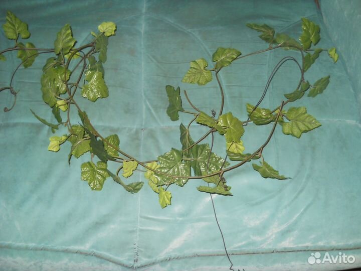 Подушки, декоративные растения, одеяла