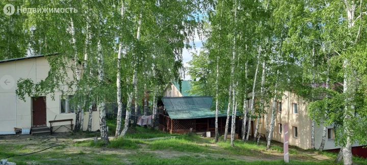 Участок 56 сот. (СНТ, ДНП)