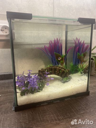Аквариум