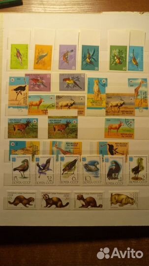 Марки Фауна СССР Зарубежные 1959-1982г