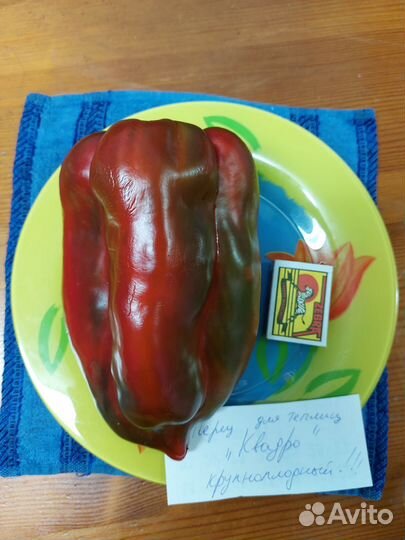 Семена крупноплодного перца Квадро