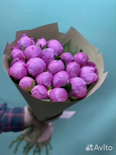 Пионы цветы Оптом