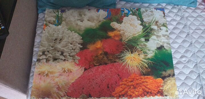 Аквариум 60 литров