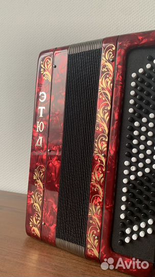 Баян тульский 