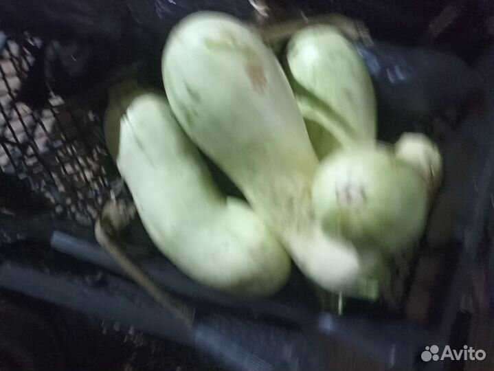 Овощи фрукты
