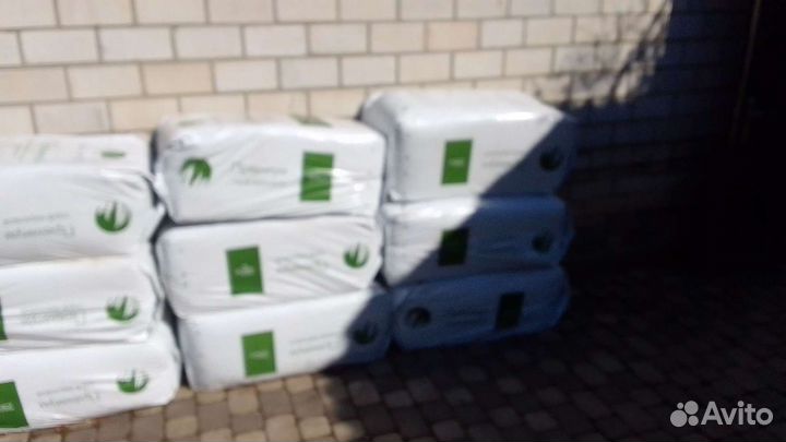 Клюква крупноплодная саженцы