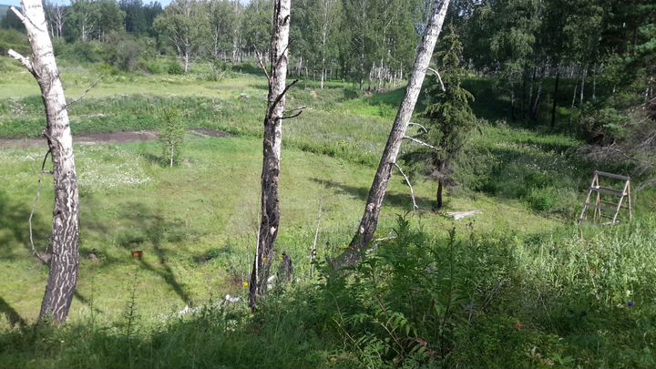 Участок 12 сот. (СНТ, ДНП)