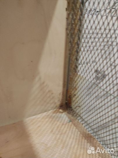 Стеллаж-Витрина для грызунов