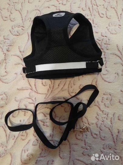 Шлейка для собаки