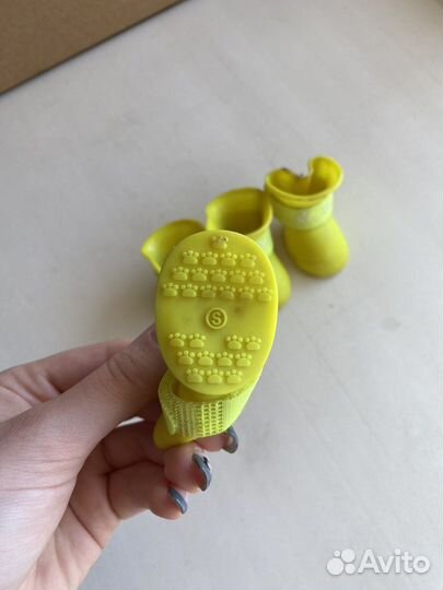 Одежда для собак