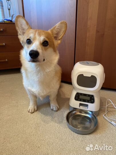 Автоматическая кормушка для собак и кошек