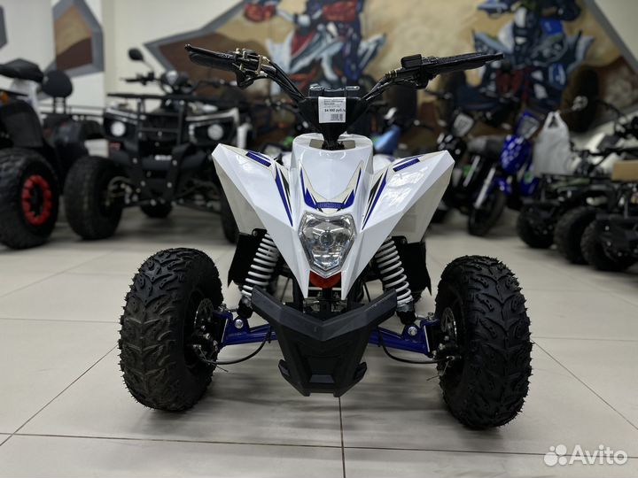 Детский квадроцикл Motax gekkon 1300W