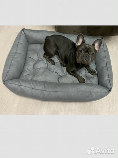 Лежанка для собак и кошек + игрушка в подарок