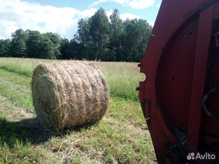 Сено в кипах и рулонах 2024г. Доставка